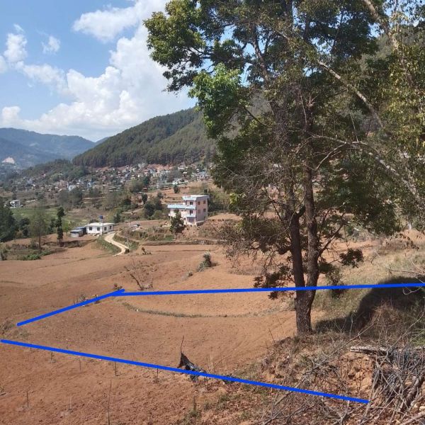 Prime land for sale at lele near Manakamana Temple