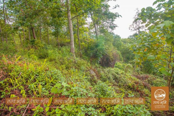 5 Ropani land for sale in Ranipauwa - Nuwakot