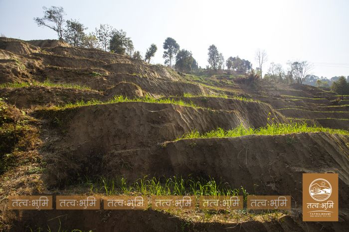 10 Ropani land in Matragaun, Nuwakot on Sale