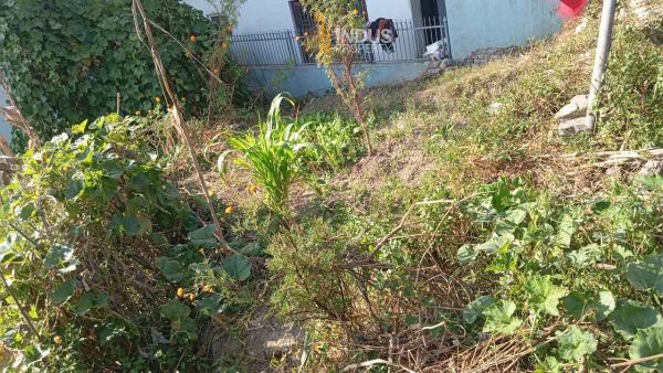 Land on sale at Changathali, Lalitpur Land on sale at Changathali, Lalitpur