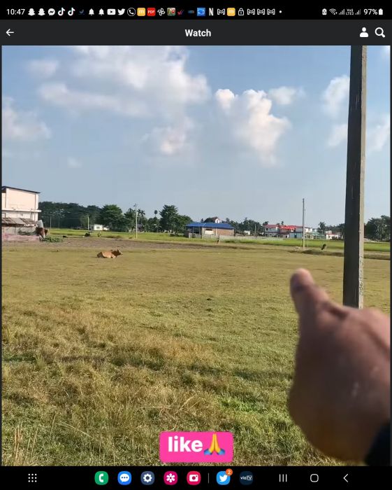 Jhapa jilla ko Bhadrapur ko Jhapa chok ko land sell