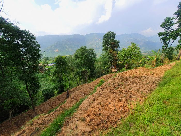 1 Ropani 10 Ana Land on Sale – Sunkhani, Nuwakot