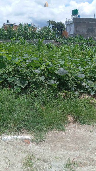 Land on sale at Mulpani, Kathmandu