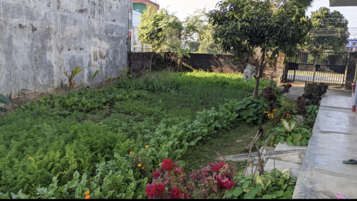 Beautiful 3 flat house for sale in Ratnanagar, Chitwan