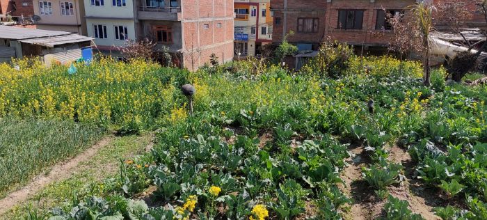 Attractive Land On Rent (pandu Bazar, Gundu Road)