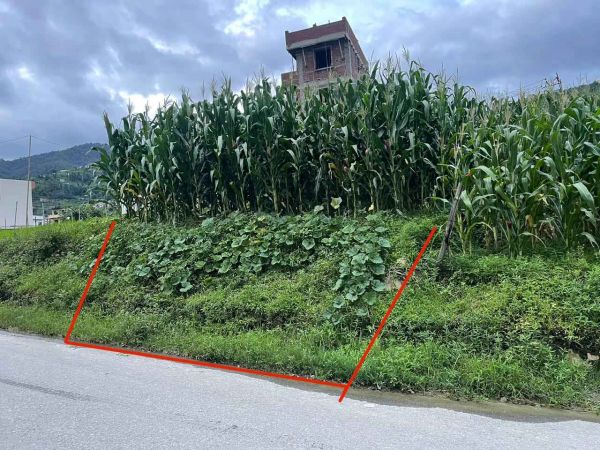 Land for sale in dadapauwa ramkot, south facing, (0-8-2-1), per anna 34.5 lakhs, 20ft black topped road access, Negotiable.