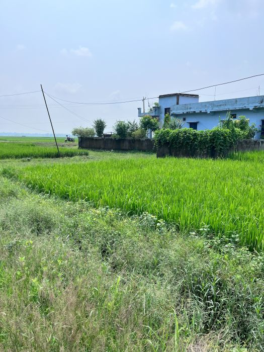 1/2 Kathha Land in Geta location for sale at 2000000