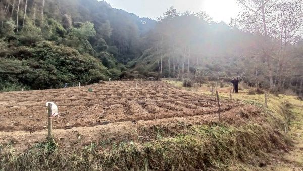 Land For Sale near Ashapuri Temple Suryabinayak