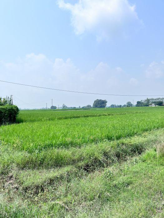 1/2 Kathha Land in Geta location for sale at 2000000