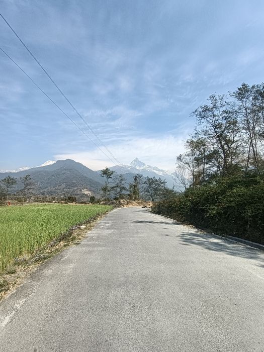 Land sale Pokhara 19