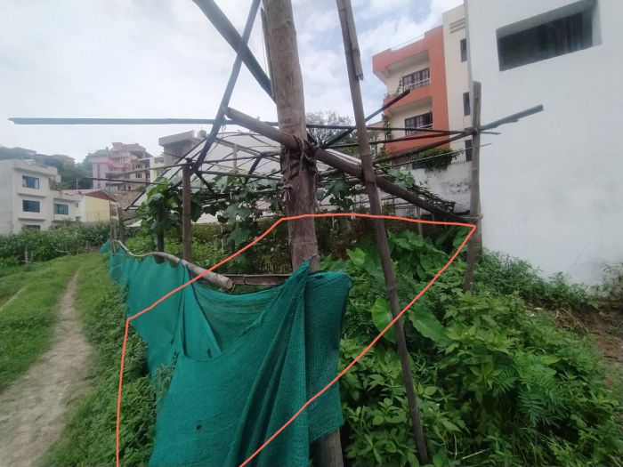 Land for sale (4 anna) Tinthana at 30 lakh