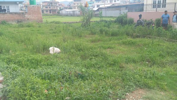 Land on sale at Harisiddhi, Lalitpur