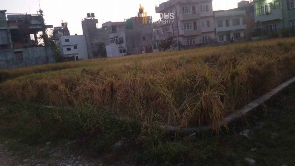 Land on sale at Tikathali, Imdol