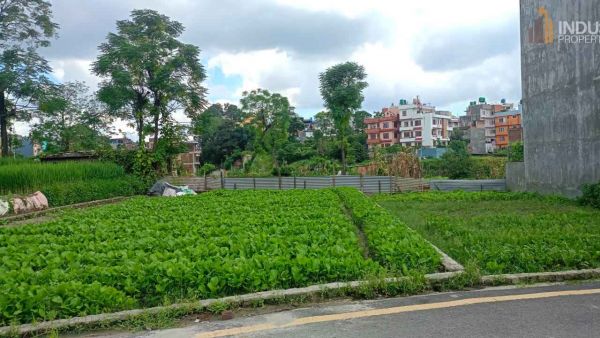 Land On Sale at Dhunchepakha, Bhaktapur