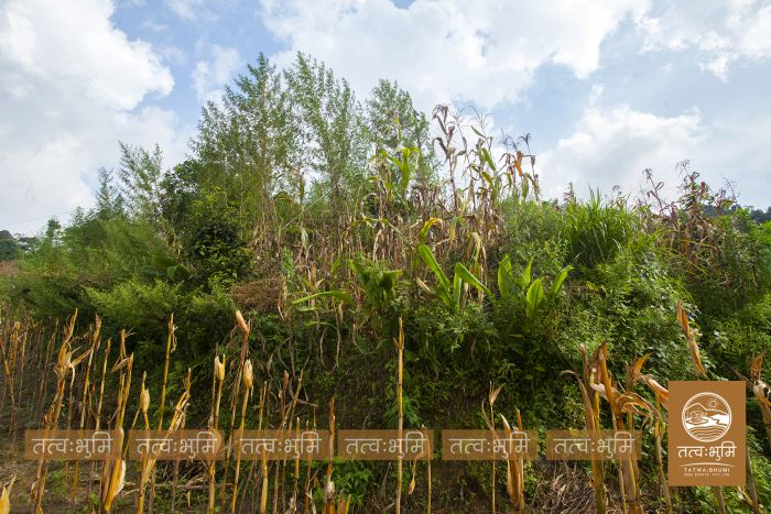 18 Ropani Highway Touched land Sale in 35 Kilo.