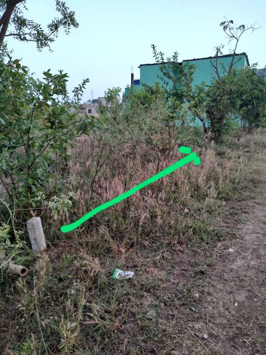 10 dhur belbaas butwal