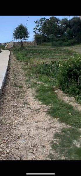 CHEAPEST LAND IN THAIBA