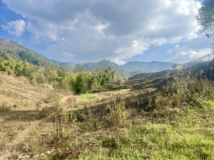 Plotting Land On Sale At Lamatar ,Lalitpur