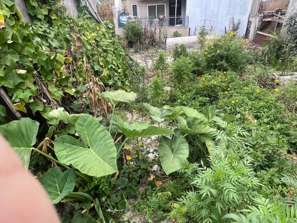 Land for sale in Bista Gaun, Harhar Mahadev, Gothatar. 4 aana 2 dam