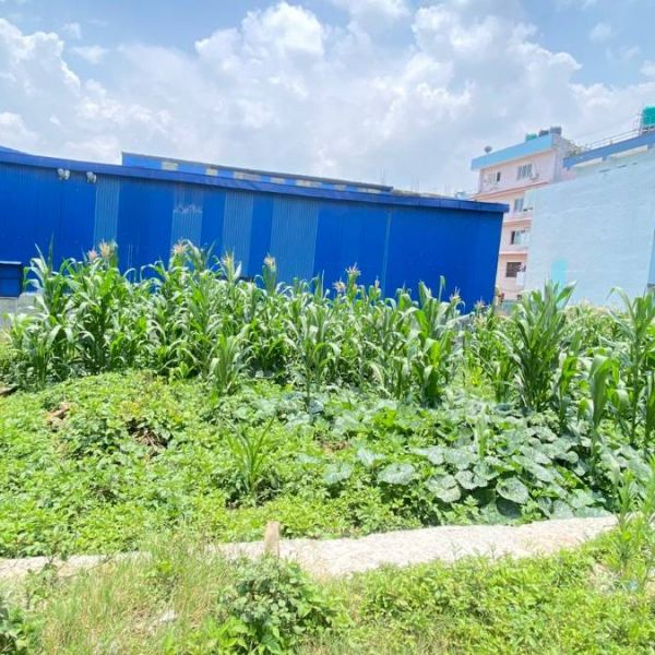 Land on sale = Balkot
