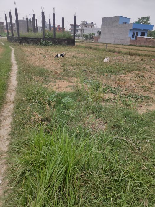 Land for sale in Butwal-13,Belbas