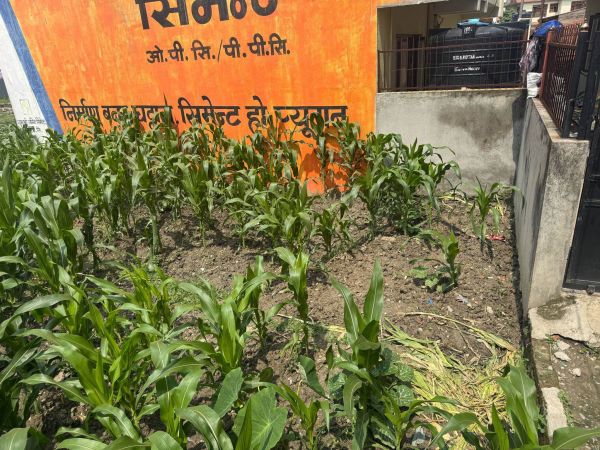 Land for sale in Thimi, Bhaktapur