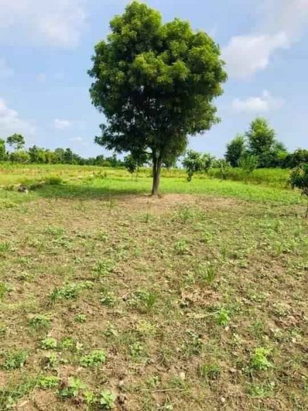 Land for sale in Bardibas-3  Mahottari