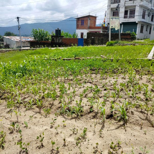 Residential Land on sell at Kavresthali Bus Station, KTM