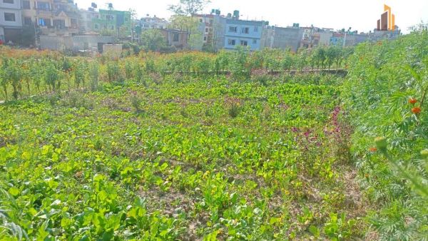 Land on sale -Balkot, Bhaktpur