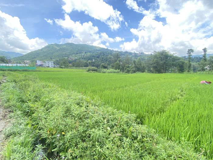 Land for Sale in Sankhu