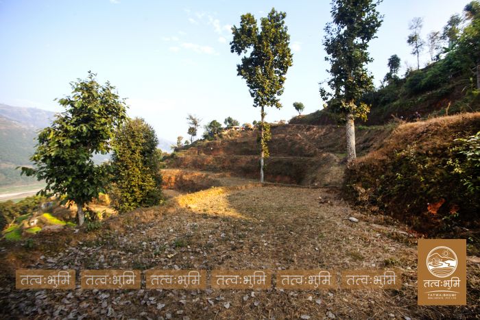 11 Ropani land near Chahare, Nuwakot on Sale.