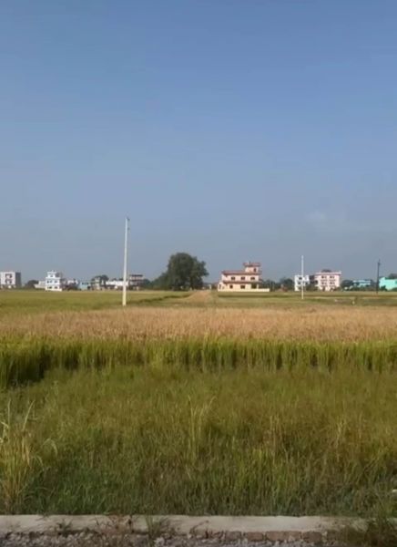 Land for sale bhalwari Butwal 