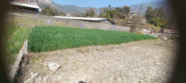Land nice place in toka