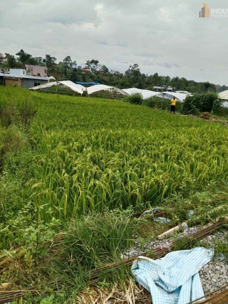 Land On Sale at Lubhu, Lalitpur