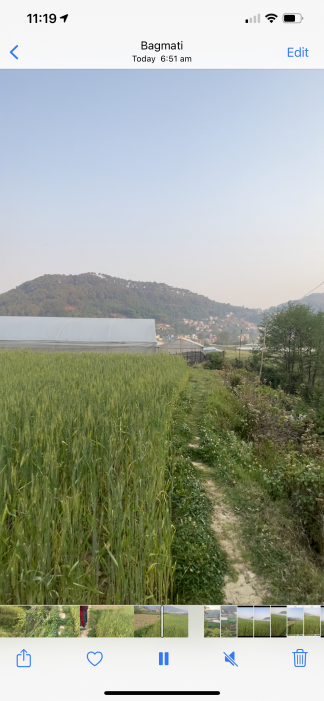 Godavari  Single plot 26 Anna, Land for sale - Negotiable