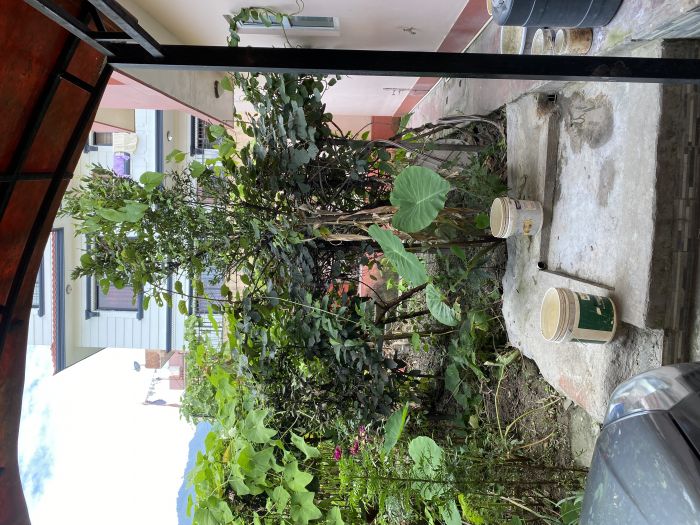 House for Sale in Budhanilkantha Ward no 1