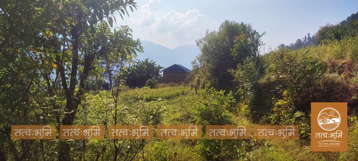 7 Ropani Land On Sale at Karki Dara, Nuwakot