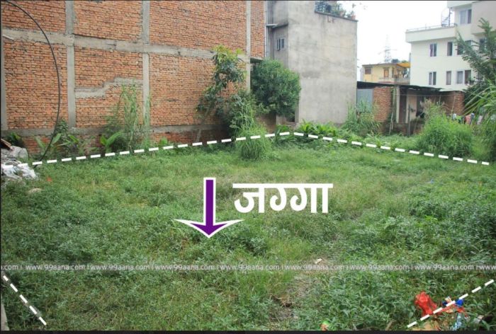 Land for Rent/Lease in Teku 