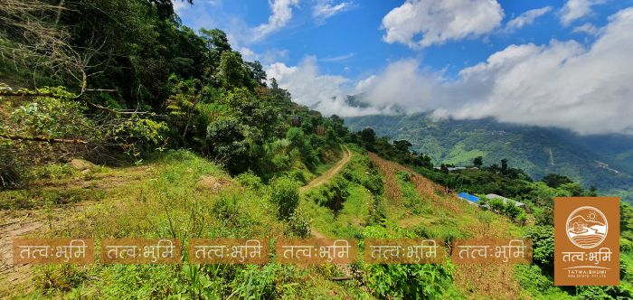 11 Ropani land on sale Ranipauwa, Kakani - Nuwakot