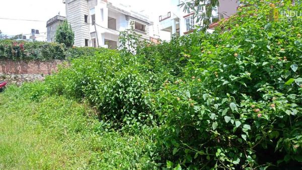 Land On Sale at Italitar, Budhanilkantha