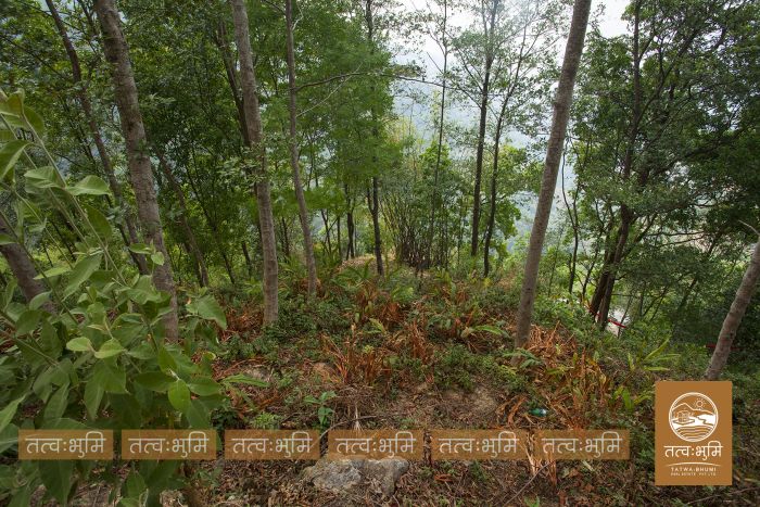 5 Ropani land in Ranipauwa for Sale
