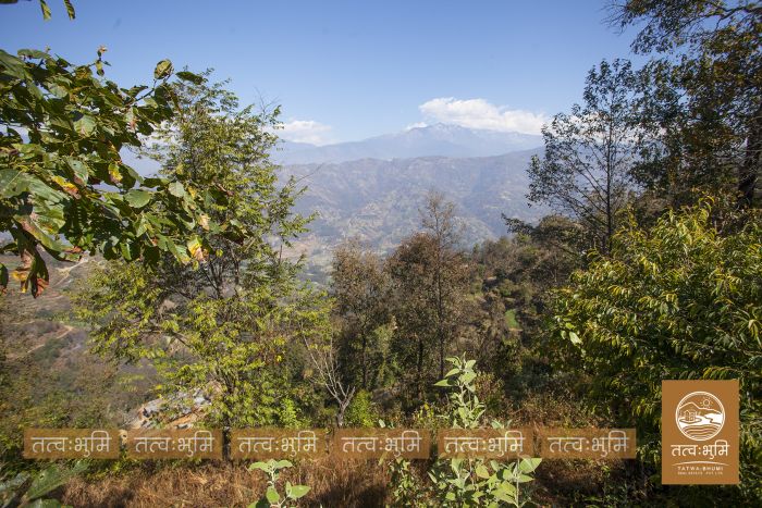 9 Ropani land in Naraynthan, Nuwakot on Sale.