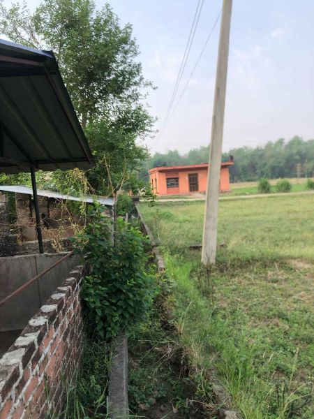Land is sale in BUTWOL( Rupandehi district). 1 kattha 14 dhoor.