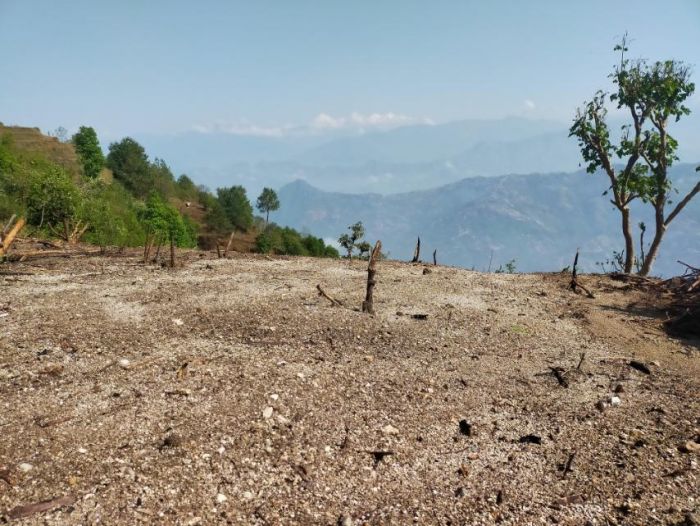 25 Ropani land for sale in Shivapuri facing north