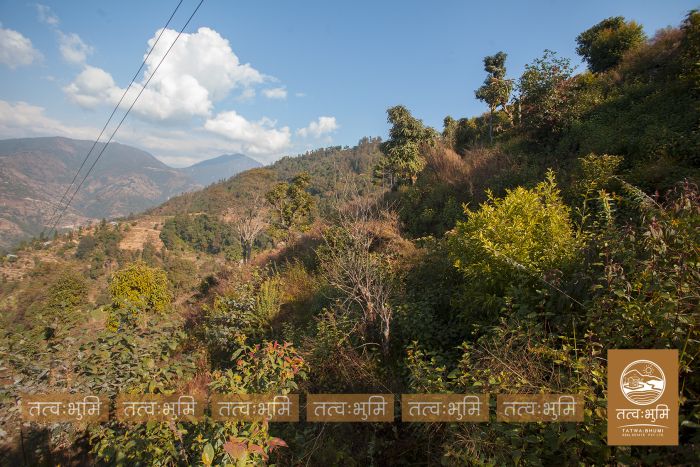 6 Ropani land on sale in Pudibhanjyag, Nuwakot