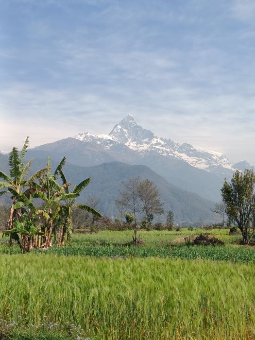 Land sale Pokhara 19