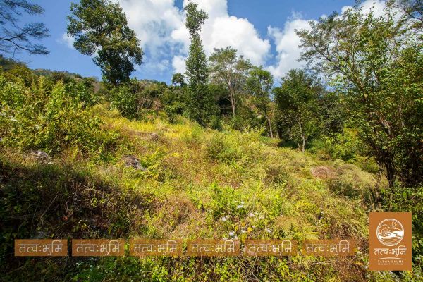 16 Ropani land for sale in Kalleri - Nuwakot.
