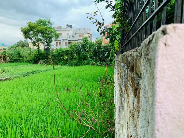 5 Aana land on sale at extremely low price in Bhaisepati, Lalitpur.