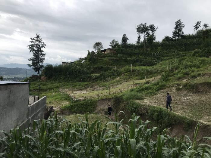 Land on sale in Nyapati Sundarijal.