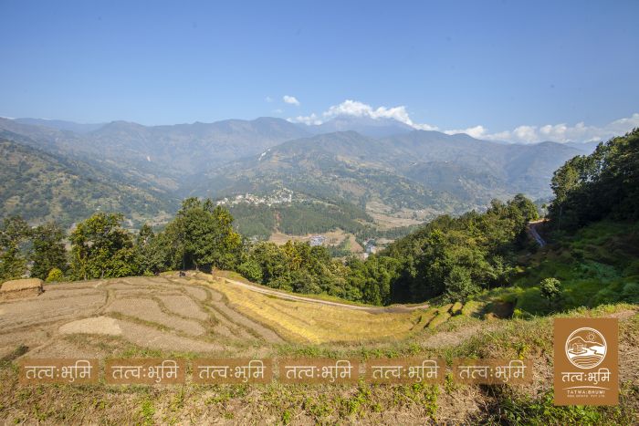 35 Ropani land for sale Katheri, Nuwakot.